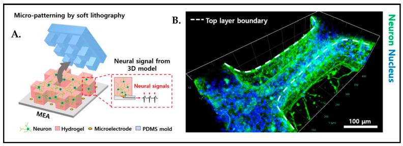 https://cdn.ncbi.nlm.nih.gov/pmc/blobs/c0d2/10216565/1510987d17f0/biosensors-13-00551-g016.jpg