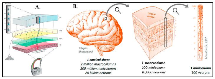 https://cdn.ncbi.nlm.nih.gov/pmc/blobs/c0d2/10216565/791177433428/biosensors-13-00551-g001.jpg