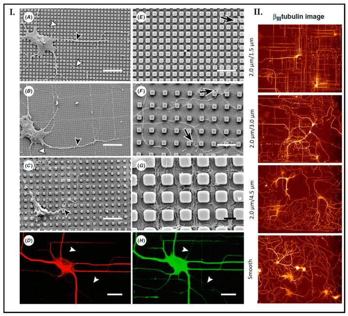 https://cdn.ncbi.nlm.nih.gov/pmc/blobs/c0d2/10216565/c52fa522157e/biosensors-13-00551-g014.jpg