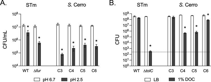 https://cdn.ncbi.nlm.nih.gov/pmc/blobs/c0d6/11448428/282418cd25c6/spectrum.00212-24.f004.jpg