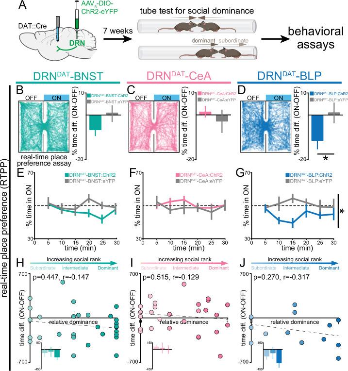 https://cdn.ncbi.nlm.nih.gov/pmc/blobs/c0d6/12316461/788ee44ff907/elife-105955-fig2.jpg