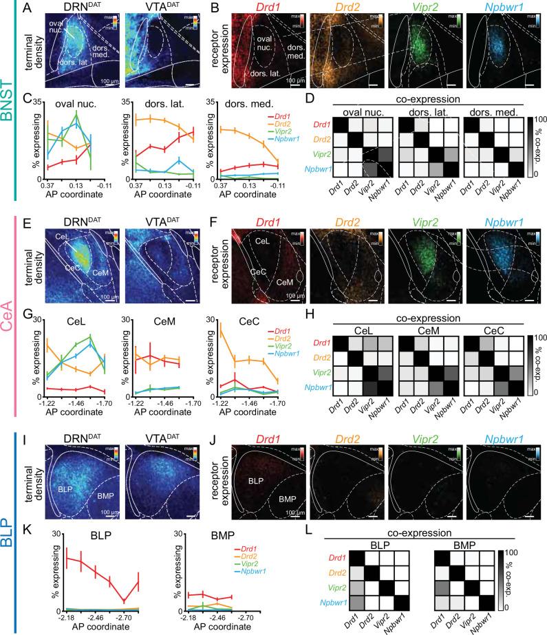 https://cdn.ncbi.nlm.nih.gov/pmc/blobs/c0d6/12316461/cf0a9356b006/elife-105955-fig5.jpg