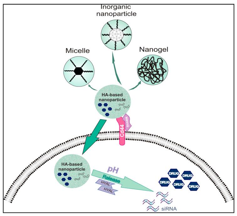 https://cdn.ncbi.nlm.nih.gov/pmc/blobs/c121/8001210/56adaa310424/biomolecules-11-00395-g001.jpg