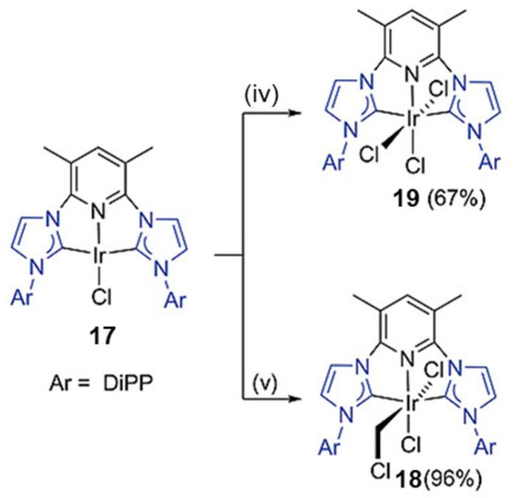 https://cdn.ncbi.nlm.nih.gov/pmc/blobs/c123/12196030/79e79ac58ab0/molecules-30-02640-sch008.jpg