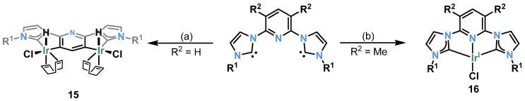 https://cdn.ncbi.nlm.nih.gov/pmc/blobs/c123/12196030/86a23d18b4bd/molecules-30-02640-sch007.jpg