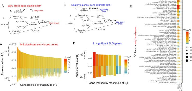https://cdn.ncbi.nlm.nih.gov/pmc/blobs/c124/12404612/4dfb76f2ec49/elife-106525-fig2.jpg