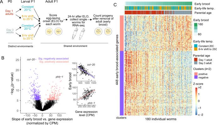 https://cdn.ncbi.nlm.nih.gov/pmc/blobs/c124/12404612/b2adba6715a0/elife-106525-fig1.jpg