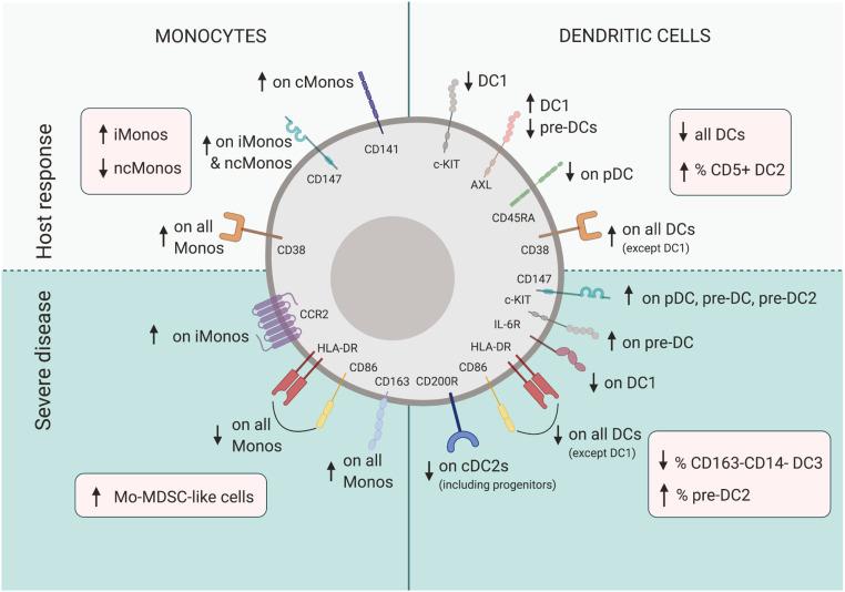 https://cdn.ncbi.nlm.nih.gov/pmc/blobs/c12c/8017719/fbad61c32836/pnas.2018587118fig06.jpg