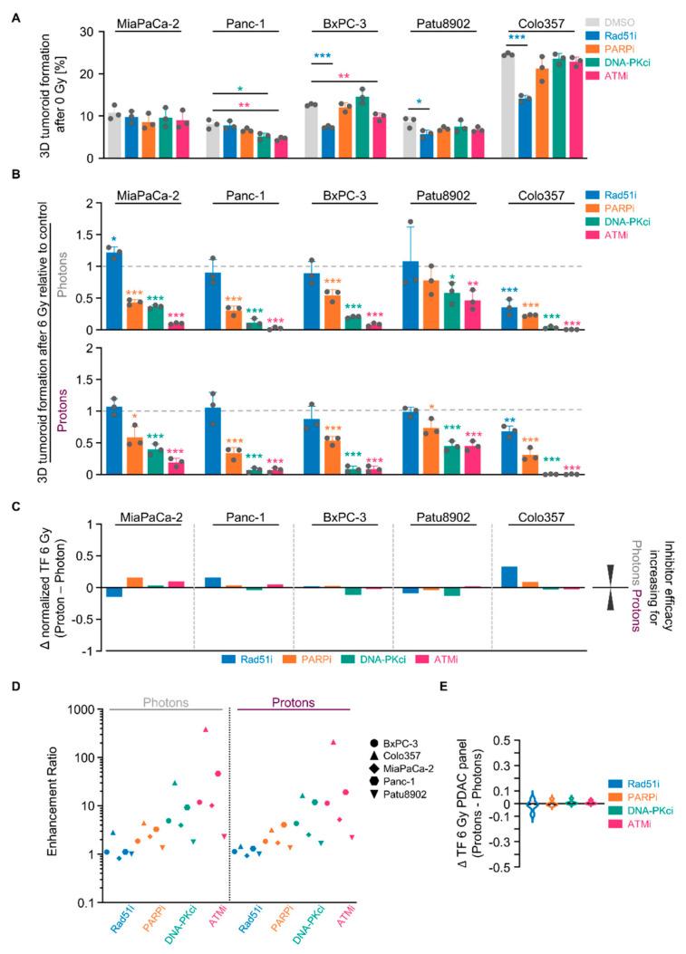 https://cdn.ncbi.nlm.nih.gov/pmc/blobs/c12e/8268708/b792179a99a1/cancers-13-03364-g002.jpg