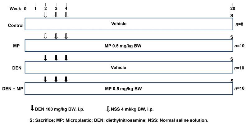 https://cdn.ncbi.nlm.nih.gov/pmc/blobs/c13b/12115485/a864cc4c7c8d/toxics-13-00353-g001.jpg