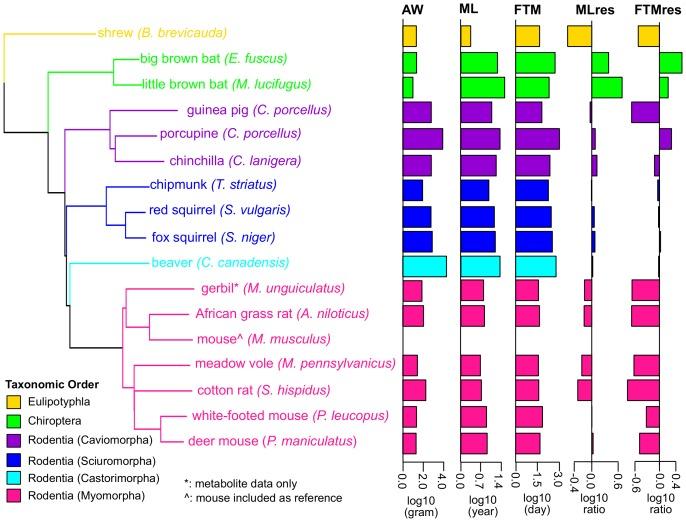 https://cdn.ncbi.nlm.nih.gov/pmc/blobs/c13c/5148604/bf452bb2eff8/elife-19130-fig1.jpg