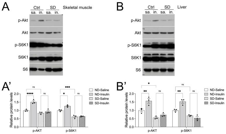 https://cdn.ncbi.nlm.nih.gov/pmc/blobs/c149/10892663/fac03d3c37ee/metabolites-14-00126-g004.jpg