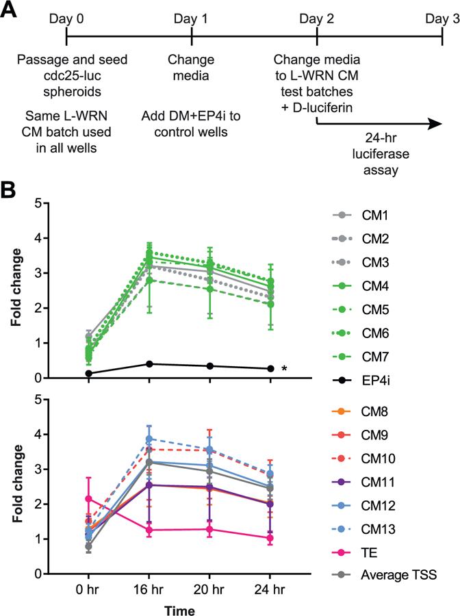 https://cdn.ncbi.nlm.nih.gov/pmc/blobs/c152/6579736/124f34e95faa/nihms-1035366-f0006.jpg