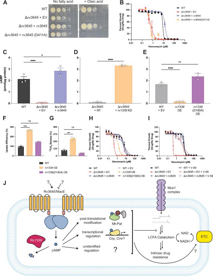 https://cdn.ncbi.nlm.nih.gov/pmc/blobs/c15e/9995111/0383299b91fb/elife-81177-fig5.jpg