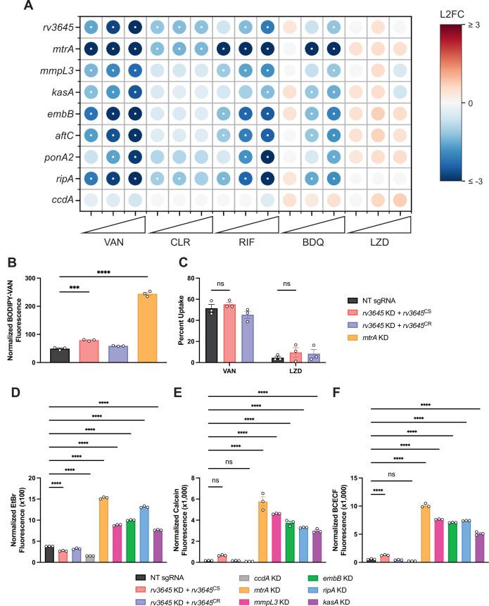 https://cdn.ncbi.nlm.nih.gov/pmc/blobs/c15e/9995111/48abf99843c4/elife-81177-fig2.jpg