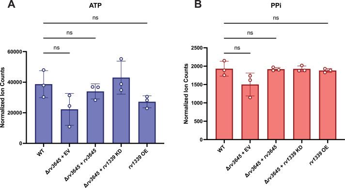 https://cdn.ncbi.nlm.nih.gov/pmc/blobs/c15e/9995111/558478b30918/elife-81177-fig5-figsupp2.jpg