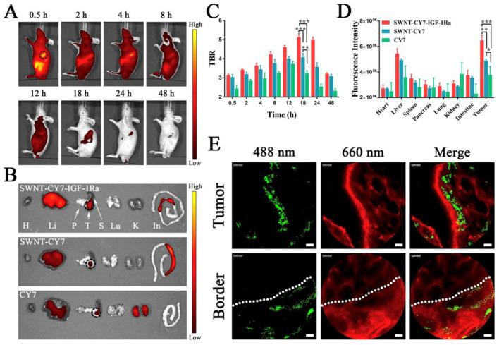 https://cdn.ncbi.nlm.nih.gov/pmc/blobs/c179/10136552/be85f1e0f4cb/cancers-15-02256-g006.jpg