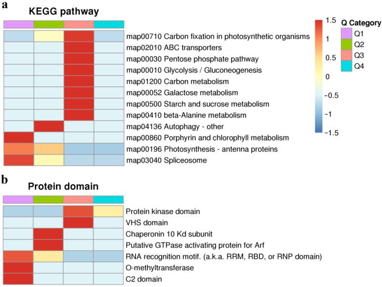 https://cdn.ncbi.nlm.nih.gov/pmc/blobs/c18e/10178291/726de8b73a20/ijms-24-07699-g003.jpg