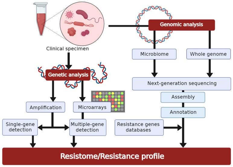 https://cdn.ncbi.nlm.nih.gov/pmc/blobs/c195/9024665/e88c189c9f89/antibiotics-11-00427-g003.jpg