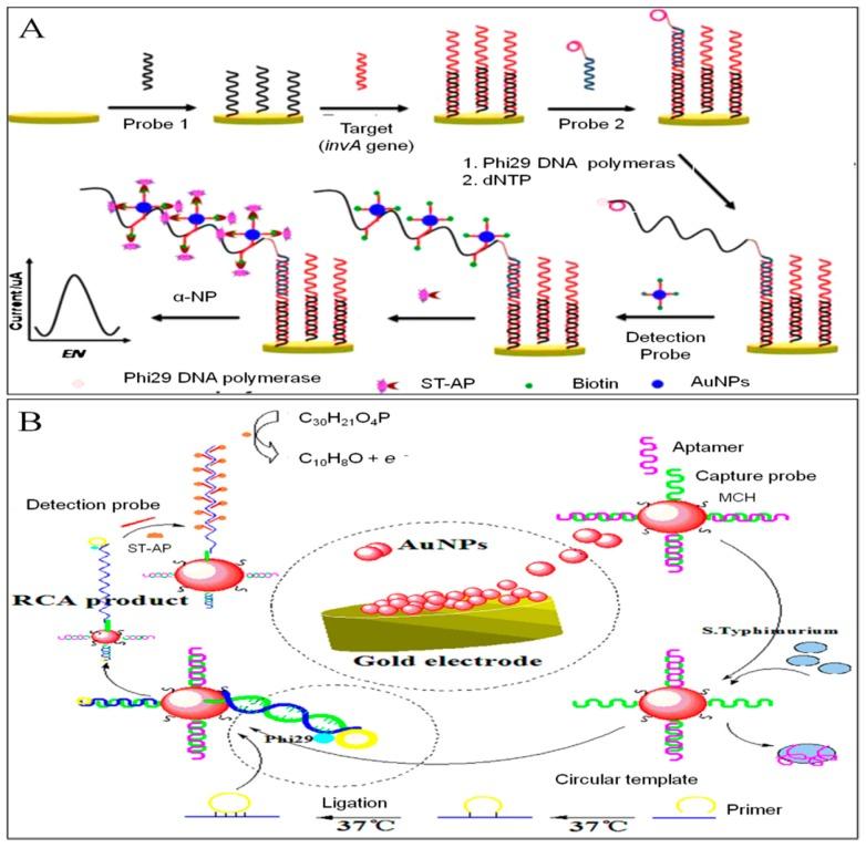 https://cdn.ncbi.nlm.nih.gov/pmc/blobs/c1b3/6891683/f04080bf8543/sensors-19-04916-g010.jpg