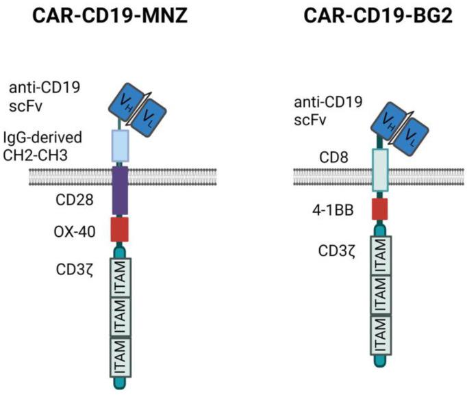 https://cdn.ncbi.nlm.nih.gov/pmc/blobs/c1b7/11417890/0671d4ca215f/antibodies-13-00071-g001.jpg