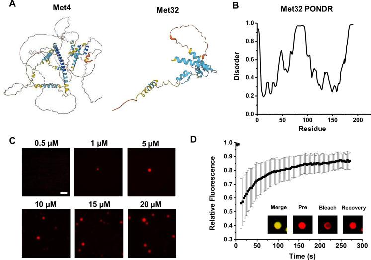 https://cdn.ncbi.nlm.nih.gov/pmc/blobs/c1bd/11441978/1564f4b69c68/elife-96028-fig2-figsupp1.jpg