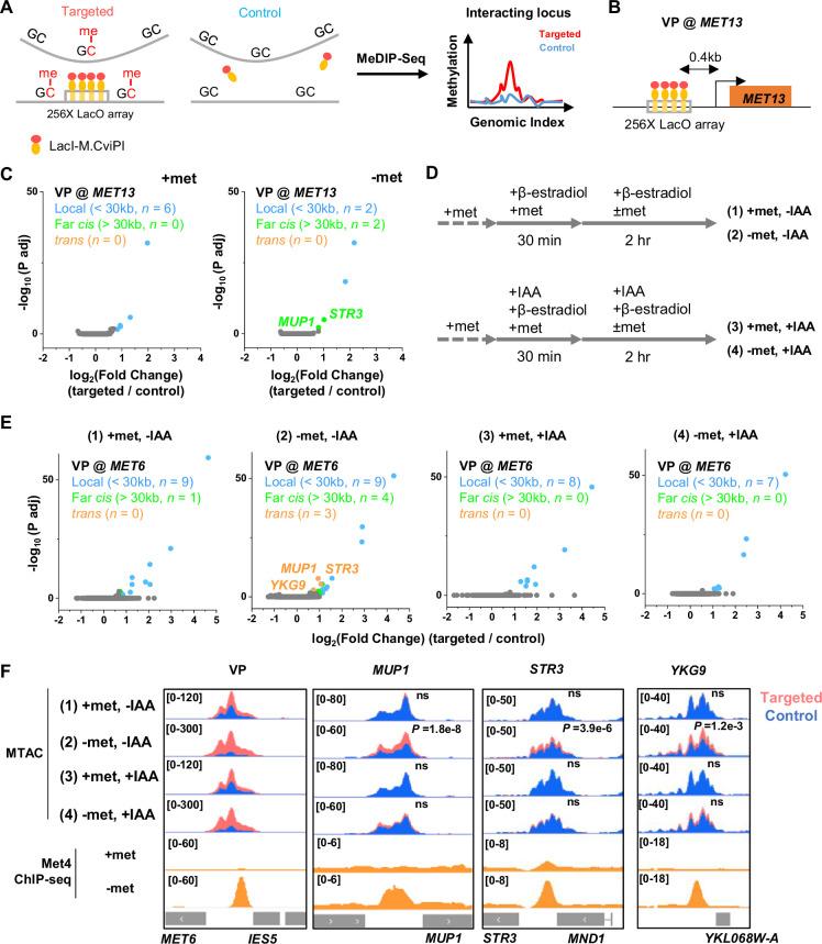 https://cdn.ncbi.nlm.nih.gov/pmc/blobs/c1bd/11441978/c19ff82e81d4/elife-96028-fig4.jpg