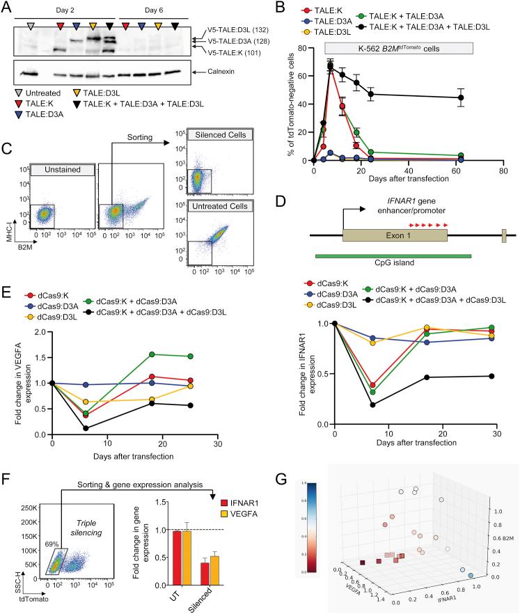 https://cdn.ncbi.nlm.nih.gov/pmc/blobs/c1be/5039111/7d300b3e25c3/figs5.jpg