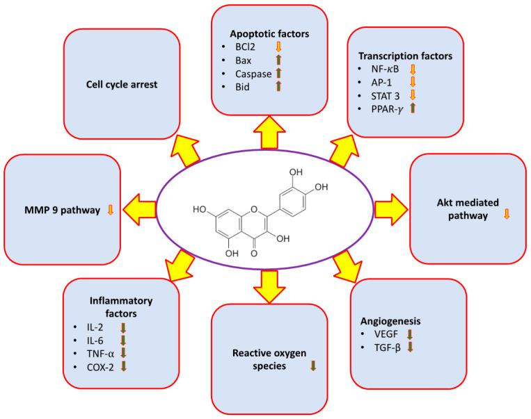 https://cdn.ncbi.nlm.nih.gov/pmc/blobs/c1d1/7957552/0d8f7481e749/molecules-26-01315-g002.jpg