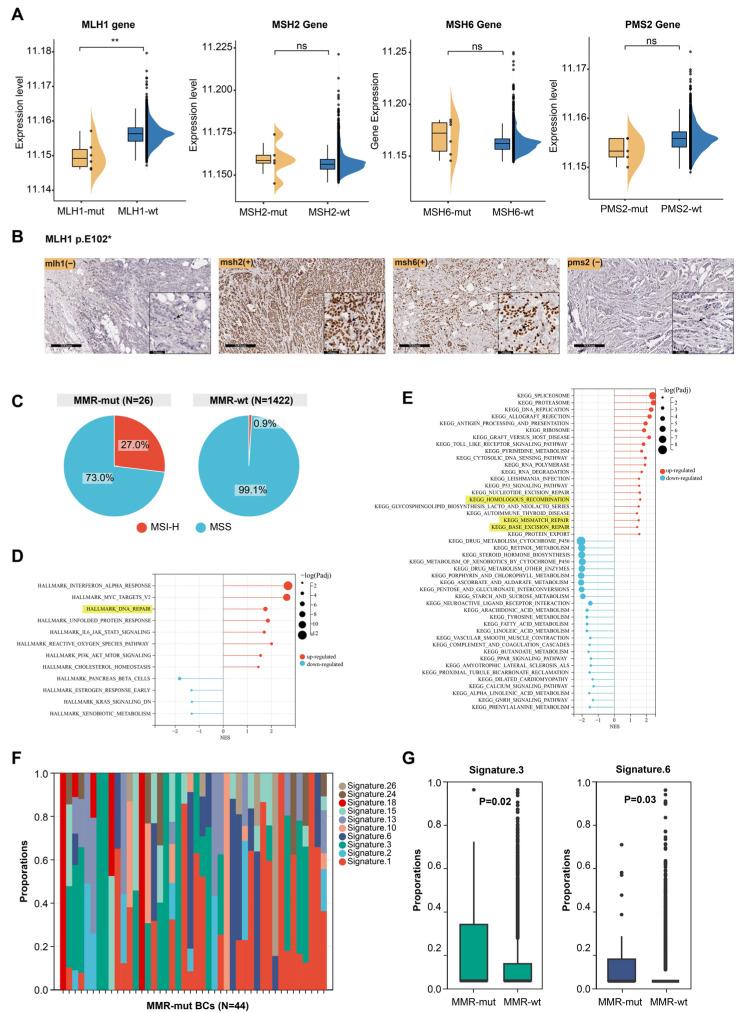 https://cdn.ncbi.nlm.nih.gov/pmc/blobs/c1d3/12025084/c0398de5d9b4/bioengineering-12-00426-g002.jpg