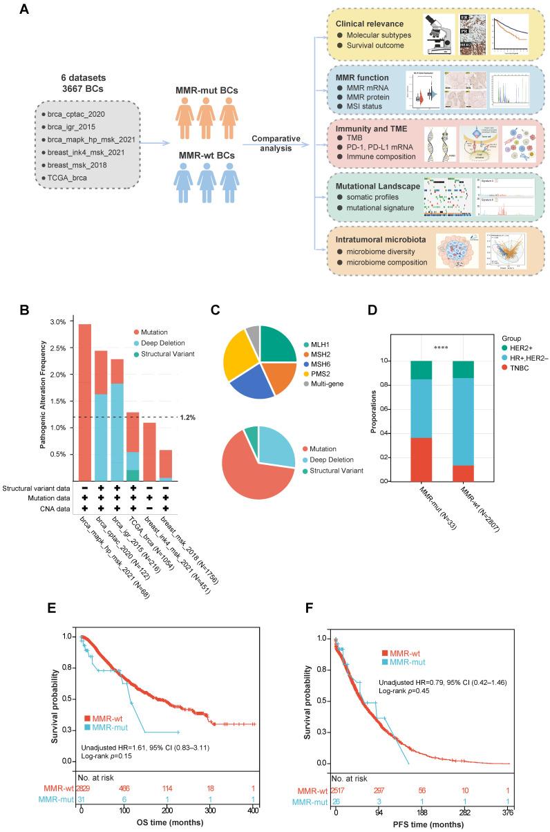 https://cdn.ncbi.nlm.nih.gov/pmc/blobs/c1d3/12025084/c9253a0529a4/bioengineering-12-00426-g001.jpg