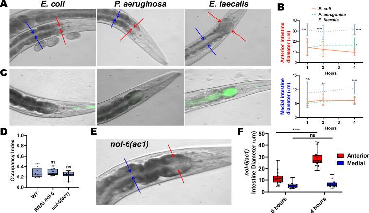 https://cdn.ncbi.nlm.nih.gov/pmc/blobs/c1e1/8177887/7796adf3e99e/elife-65935-fig2.jpg