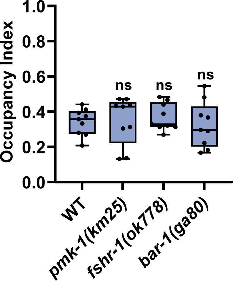 https://cdn.ncbi.nlm.nih.gov/pmc/blobs/c1e1/8177887/987fcedb8c15/elife-65935-fig3-figsupp1.jpg