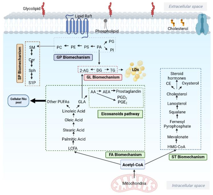 https://cdn.ncbi.nlm.nih.gov/pmc/blobs/c20f/9783089/4f5ead271bca/metabolites-12-01280-g005.jpg