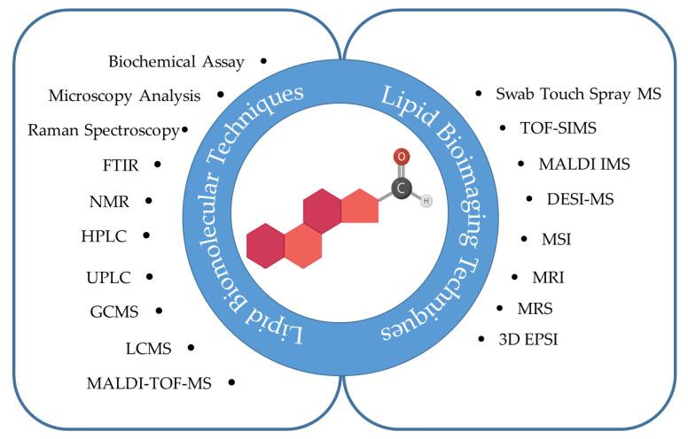 https://cdn.ncbi.nlm.nih.gov/pmc/blobs/c20f/9783089/98ac0c2aeb4c/metabolites-12-01280-g003.jpg
