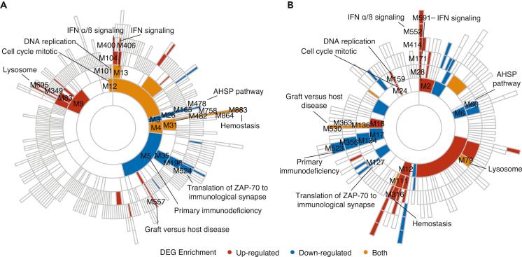 https://cdn.ncbi.nlm.nih.gov/pmc/blobs/c220/9036134/b09523093719/gr4.jpg