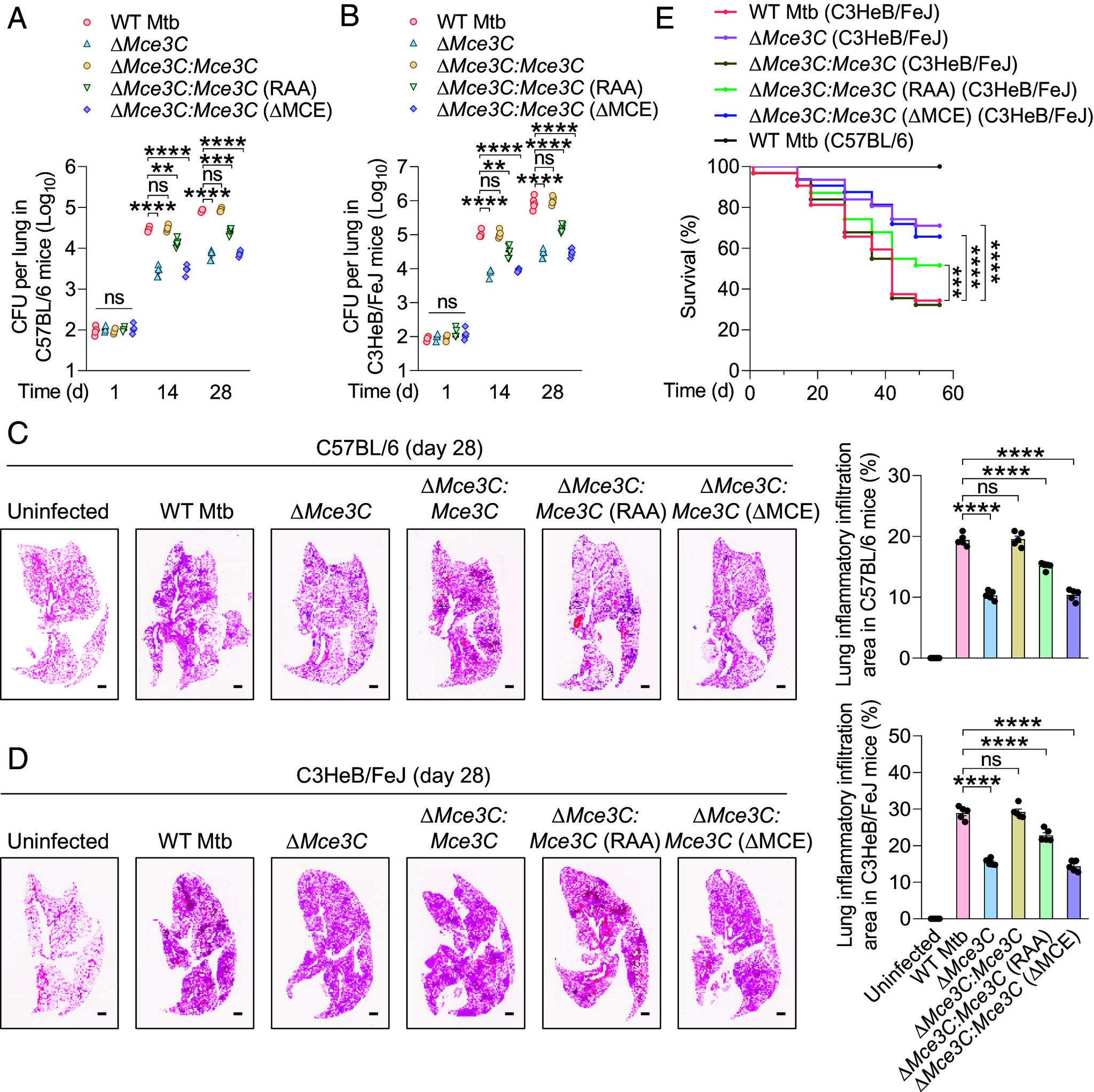 https://cdn.ncbi.nlm.nih.gov/pmc/blobs/c223/11874418/f1992eef6c7e/pnas.2406715122fig06.jpg