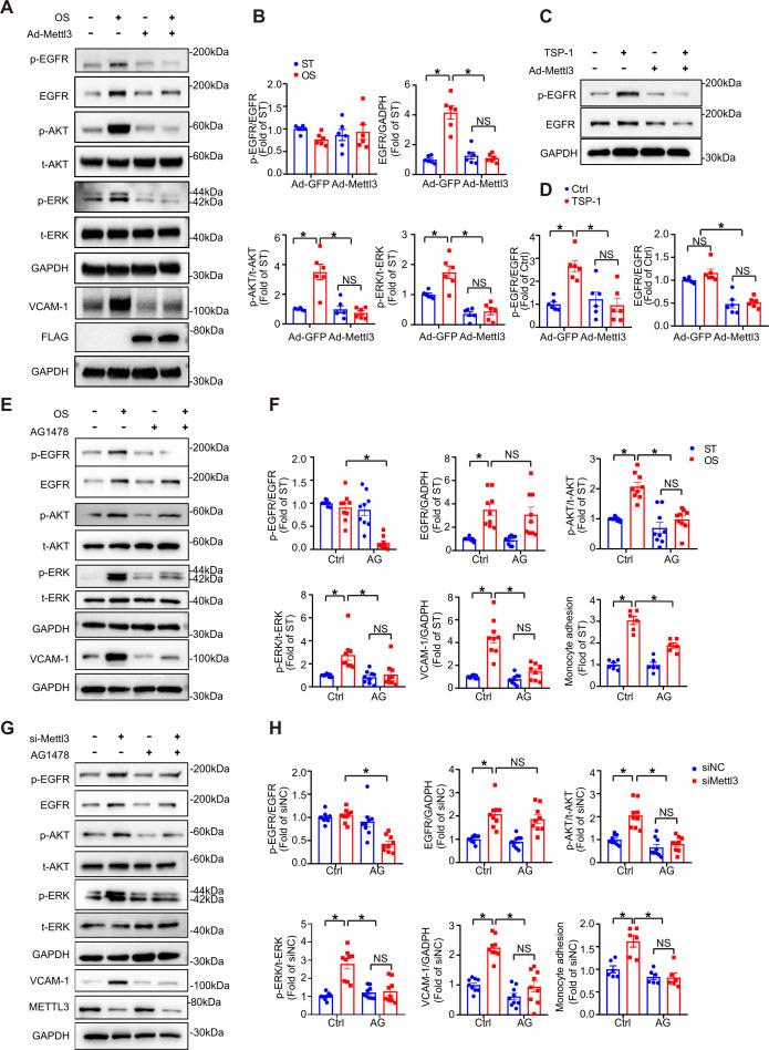 https://cdn.ncbi.nlm.nih.gov/pmc/blobs/c22a/8794471/adbe0e64dffa/elife-69906-fig4.jpg