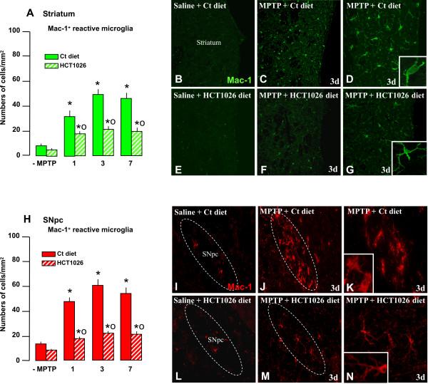 https://cdn.ncbi.nlm.nih.gov/pmc/blobs/c24a/3000390/f61450bd1d3f/1742-2094-7-83-6.jpg