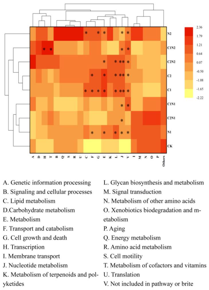 https://cdn.ncbi.nlm.nih.gov/pmc/blobs/c24d/11728214/4c97fdb4cab2/microorganisms-12-02471-g007.jpg