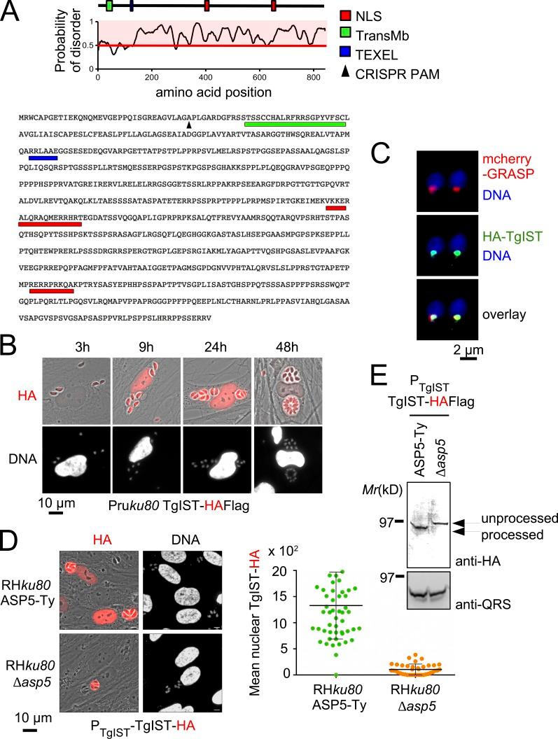 https://cdn.ncbi.nlm.nih.gov/pmc/blobs/c271/4995087/09388700d575/JEM_20160340_Fig1.jpg
