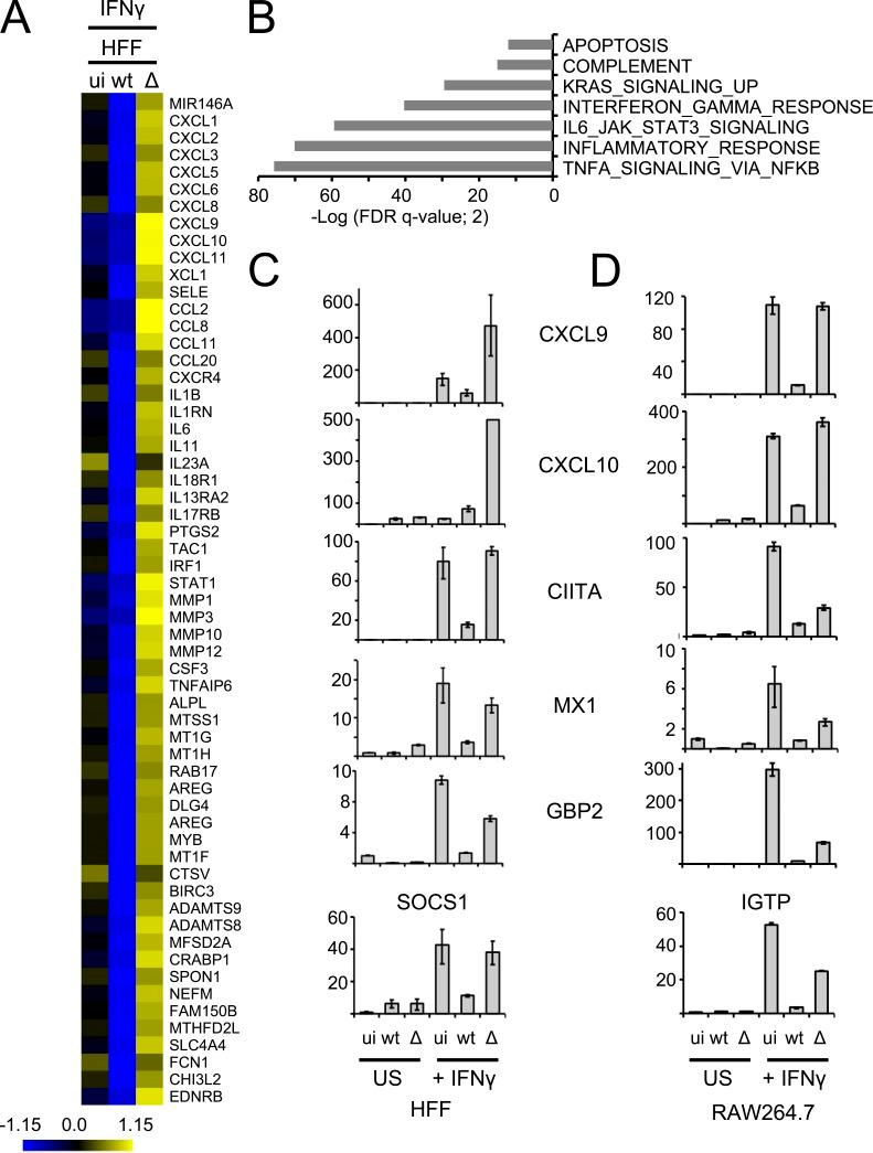 https://cdn.ncbi.nlm.nih.gov/pmc/blobs/c271/4995087/df8497d7bd5f/JEM_20160340_Fig4.jpg