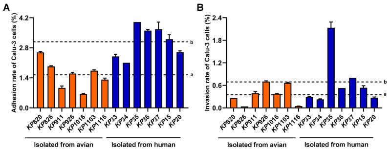 https://cdn.ncbi.nlm.nih.gov/pmc/blobs/c273/12299882/f6de2e6b0ab1/vetsci-12-00628-g004.jpg