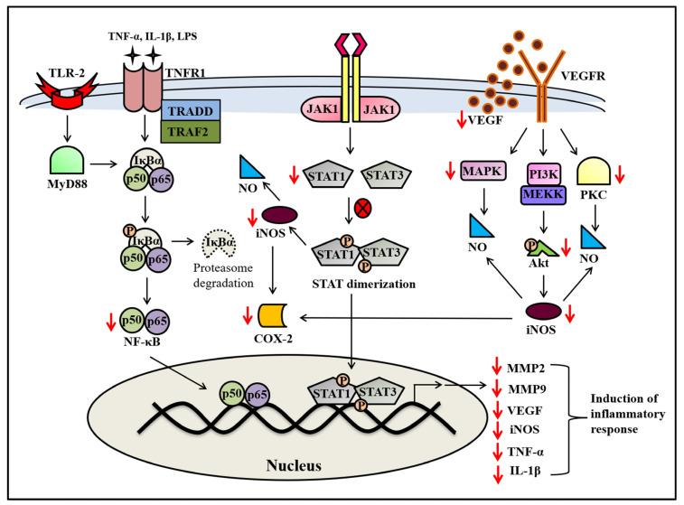 https://cdn.ncbi.nlm.nih.gov/pmc/blobs/c282/10673037/ea0f3f6b6d47/molecules-28-07530-g006.jpg