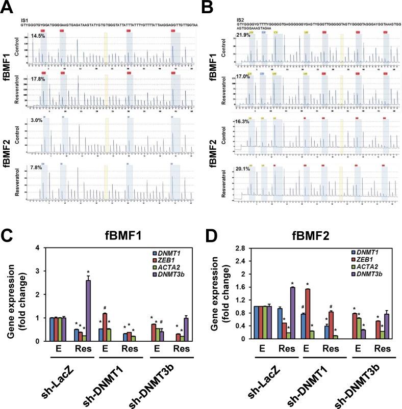 https://cdn.ncbi.nlm.nih.gov/pmc/blobs/c29c/4914274/6f731f7b782f/oncotarget-07-12137-g004.jpg