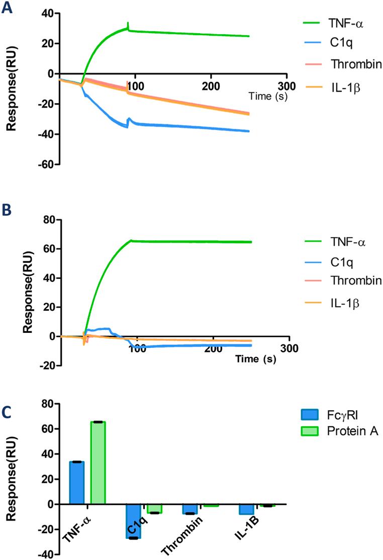 https://cdn.ncbi.nlm.nih.gov/pmc/blobs/c2a3/10558606/612002e621cf/gr5.jpg