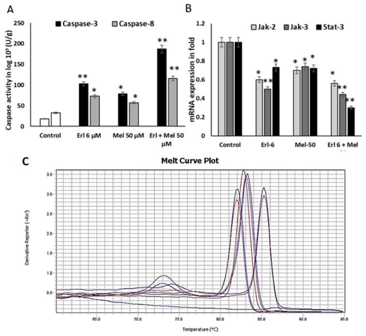 https://cdn.ncbi.nlm.nih.gov/pmc/blobs/c2ad/11989111/2396293eef2d/ijms-26-02903-g003.jpg