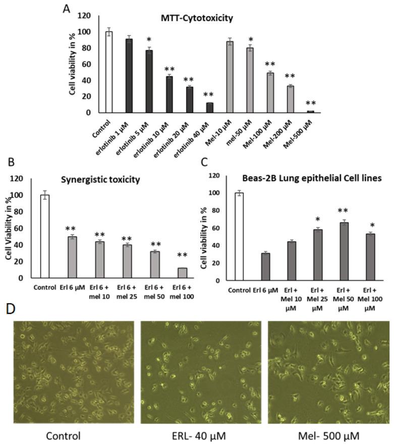https://cdn.ncbi.nlm.nih.gov/pmc/blobs/c2ad/11989111/b17c3b0b889e/ijms-26-02903-g001.jpg