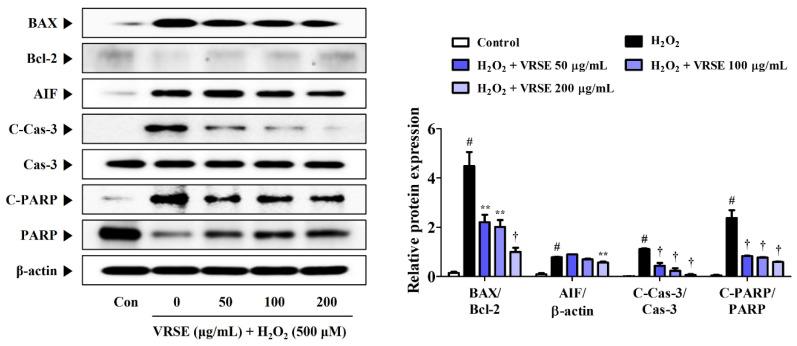 https://cdn.ncbi.nlm.nih.gov/pmc/blobs/c2c8/9786594/c3f41c481c65/nutrients-14-05265-g003.jpg