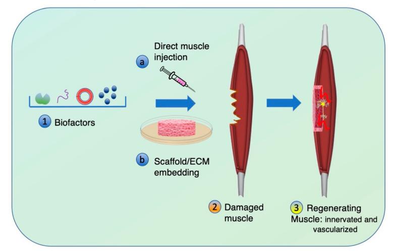 https://cdn.ncbi.nlm.nih.gov/pmc/blobs/c2ec/7711907/47f8397e35cf/bioengineering-07-00118-g003.jpg